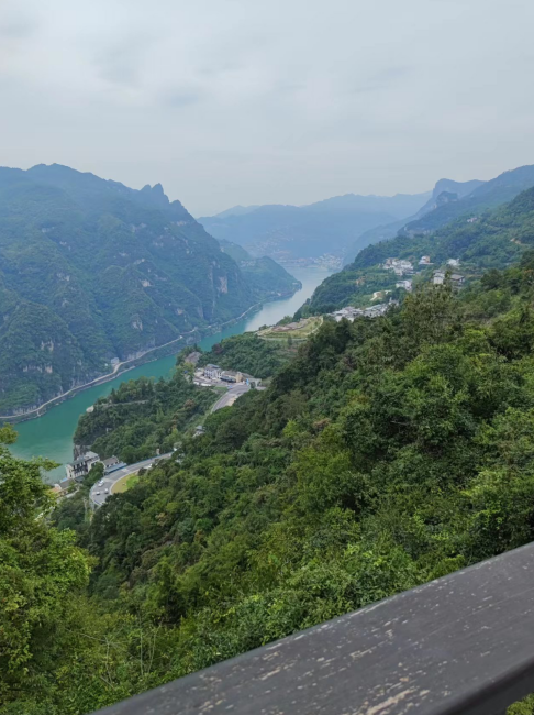 image-20241007110843327